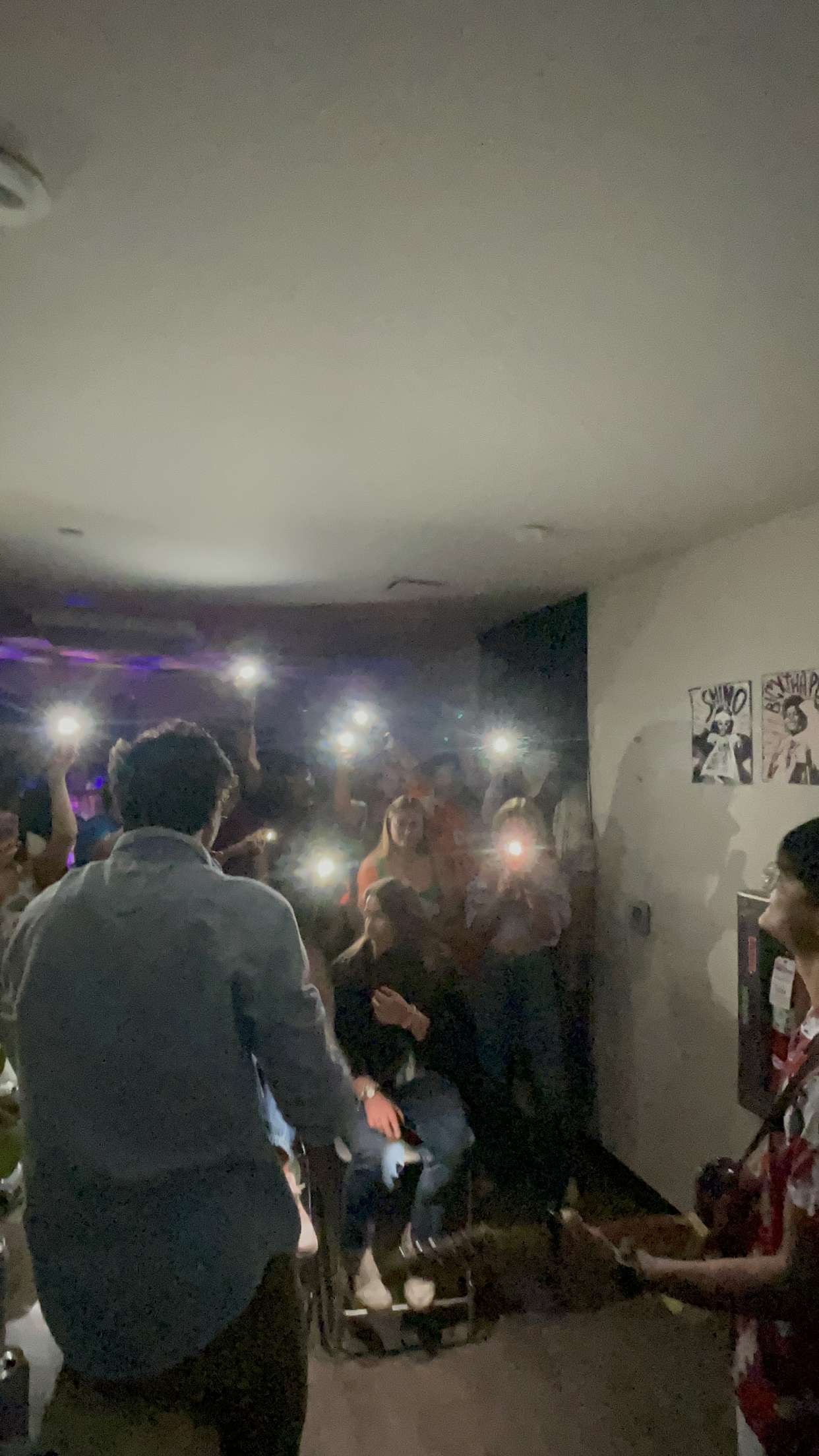 Artist & Live Performer